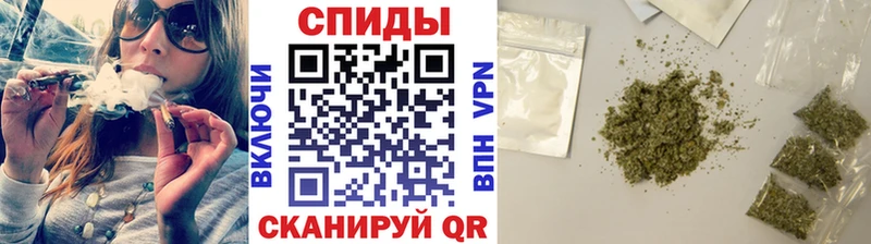 мориарти как зайти  Сосновоборск  Бутират 99% 