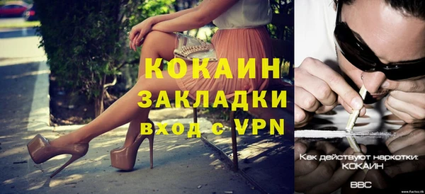твердый Сатка