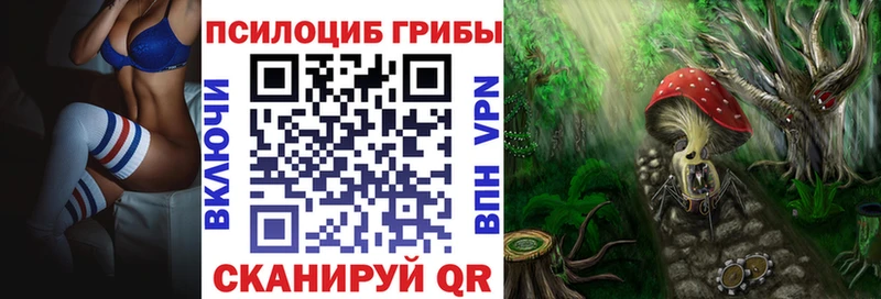 закладки  Сосновоборск  Псилоцибиновые грибы мухоморы 